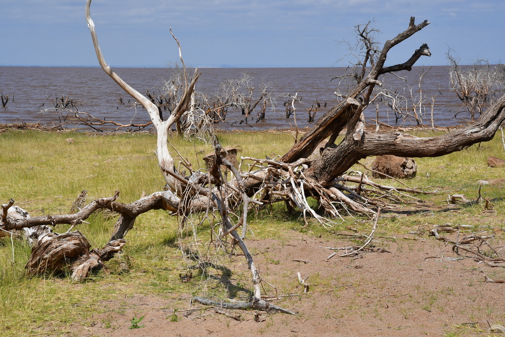 Lake Manyara NP